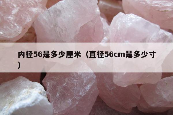 内径56是多少厘米（直径56cm是多少寸）
