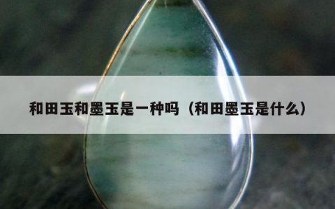 和田玉和墨玉是一种吗（和田墨玉是什么）