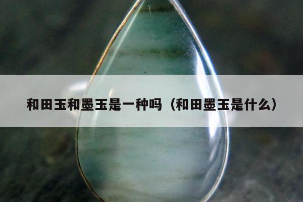 和田玉和墨玉是一种吗（和田墨玉是什么）