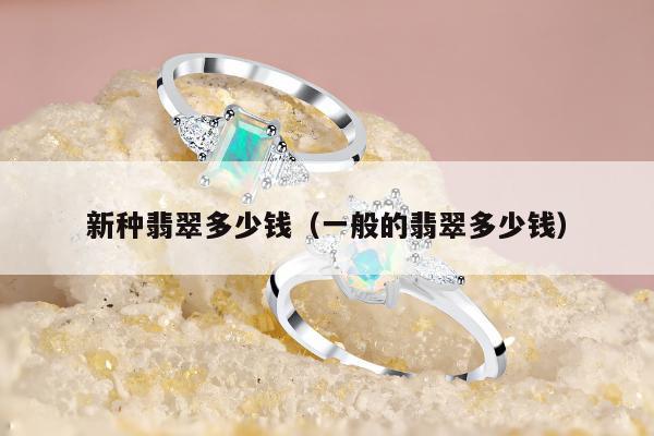 新种翡翠多少钱（一般的翡翠多少钱）