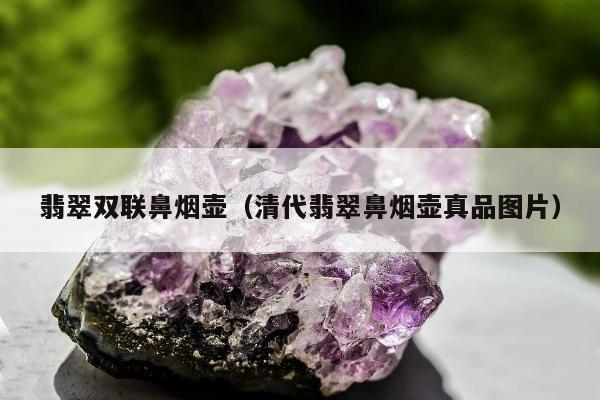 翡翠双联鼻烟壶（清代翡翠鼻烟壶真品图片）