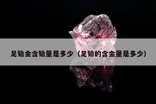 足铂金含铂量是多少（足铂的含金量是多少）