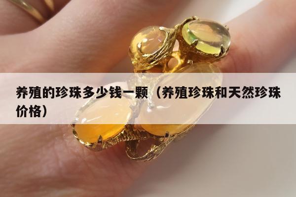 养殖的珍珠多少钱一颗（养殖珍珠和天然珍珠价格）