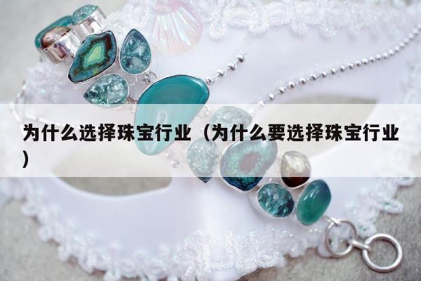 为什么选择珠宝行业（为什么要选择珠宝行业）