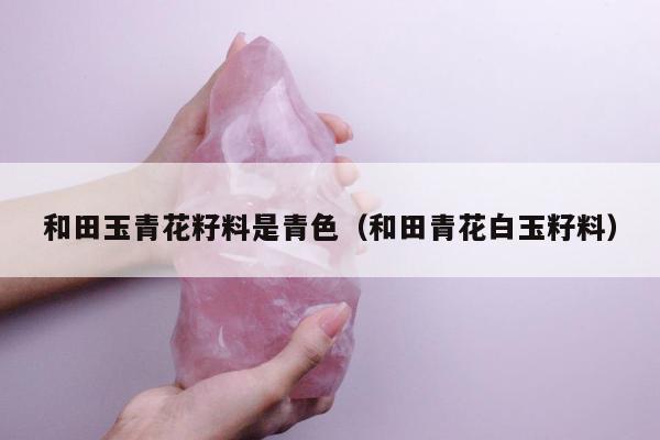 和田玉青花籽料是青色（和田青花白玉籽料）