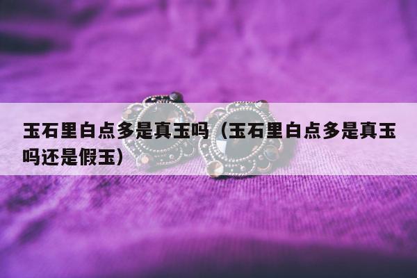 玉石里白点多是真玉吗（玉石里白点多是真玉吗还是假玉）