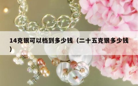 14克银可以档到多少钱（二十五克银多少钱）