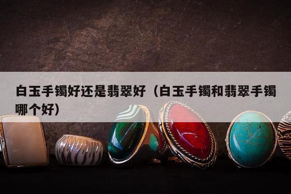 白玉手镯好还是翡翠好（白玉手镯和翡翠手镯哪个好）