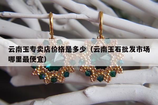 云南玉专卖店价格是多少（云南玉石批发市场哪里最便宜）