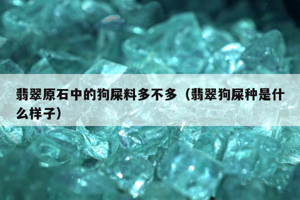 翡翠原石中的狗屎料多不多（翡翠狗屎种是什么样子）