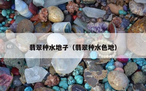 翡翠种水地子（翡翠种水色地）