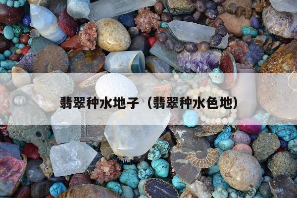 翡翠种水地子（翡翠种水色地）