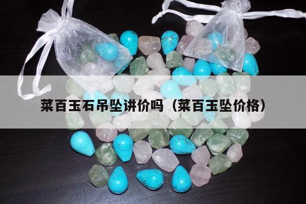 菜百玉石吊坠讲价吗（菜百玉坠价格）