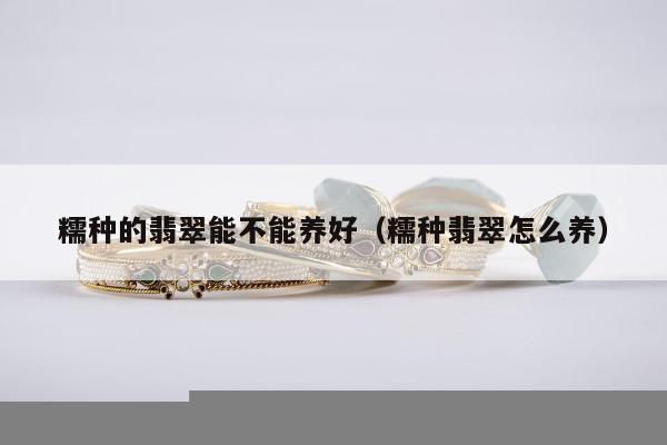糯种的翡翠能不能养好（糯种翡翠怎么养）