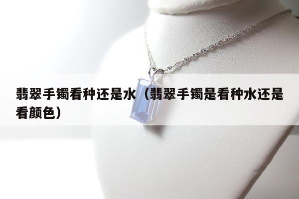 翡翠手镯看种还是水（翡翠手镯是看种水还是看颜色）