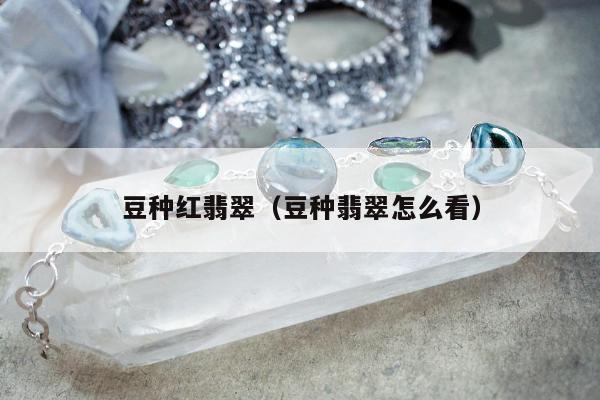 豆种红翡翠（豆种翡翠怎么看）