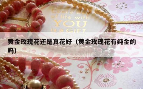 黄金玫瑰花还是真花好（黄金玫瑰花有纯金的吗）
