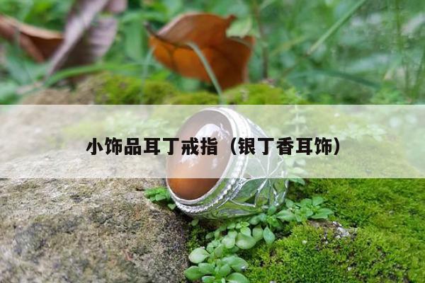 小饰品耳丁戒指（银丁香耳饰）
