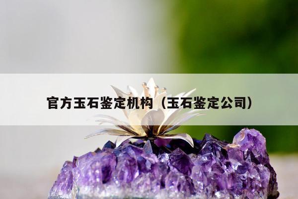 官方玉石鉴定机构（玉石鉴定公司）