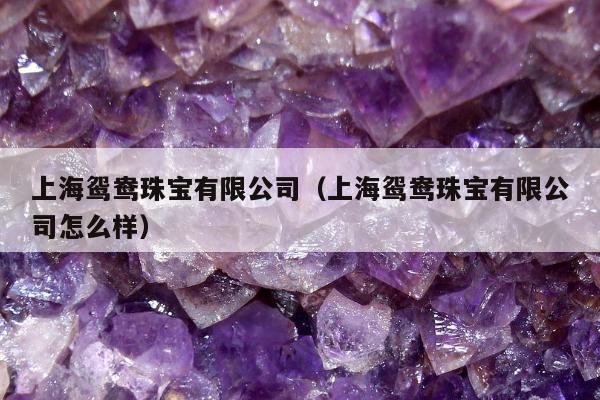上海鸳鸯珠宝有限公司（上海鸳鸯珠宝有限公司怎么样）