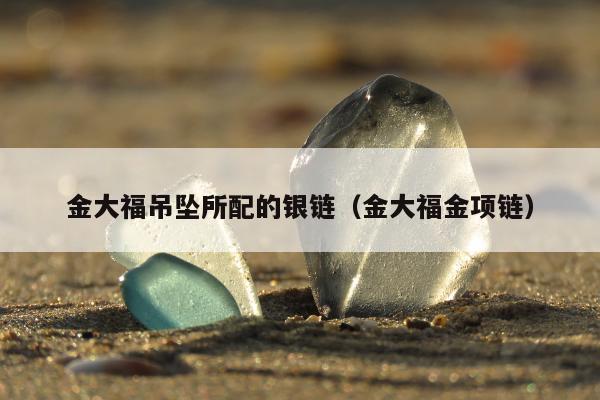 金大福吊坠所配的银链（金大福金项链）