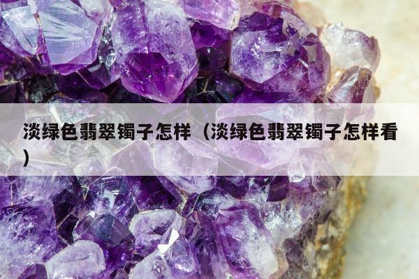 淡绿色翡翠镯子怎样（淡绿色翡翠镯子怎样看）