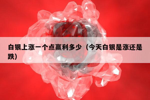 白银上涨一个点赢利多少（今天白银是涨还是跌）