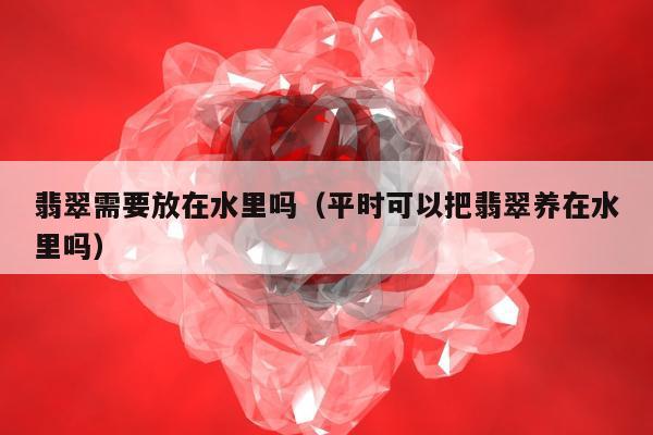翡翠需要放在水里吗（平时可以把翡翠养在水里吗）
