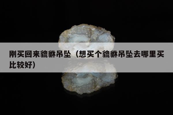 刚买回来貔貅吊坠（想买个貔貅吊坠去哪里买比较好）
