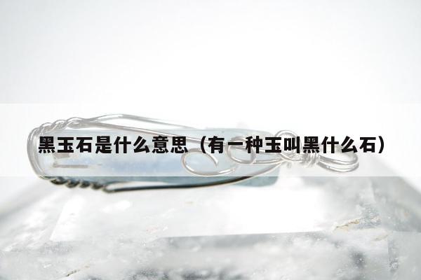 黑玉石是什么意思（有一种玉叫黑什么石）