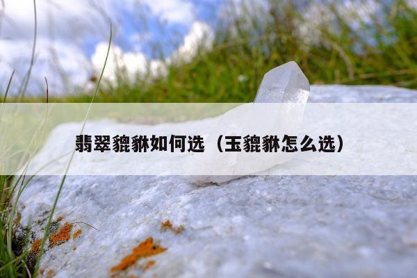 翡翠貔貅如何选（玉貔貅怎么选）