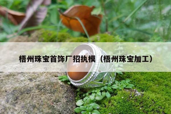 梧州珠宝首饰厂招执模（梧州珠宝加工）