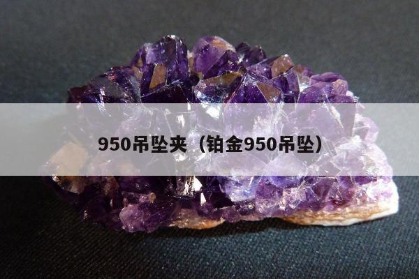 50吊坠夹（铂金950吊坠）"