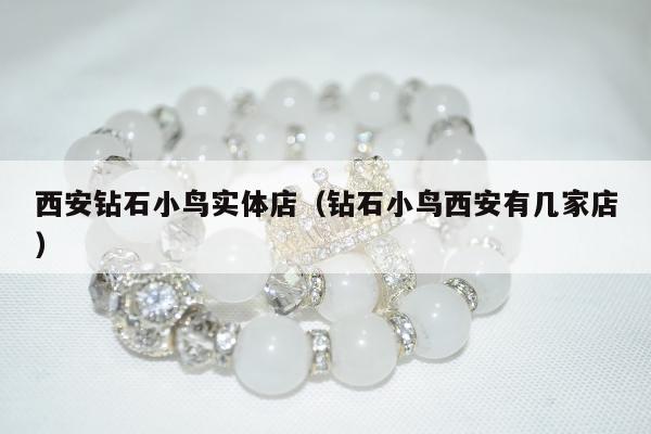 西安钻石小鸟实体店（钻石小鸟西安有几家店）