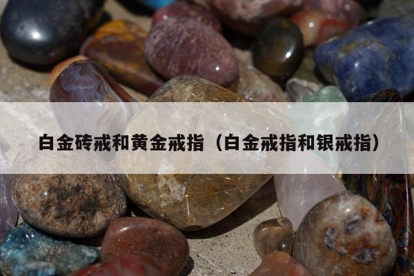 白金砖戒和黄金戒指（白金戒指和银戒指）