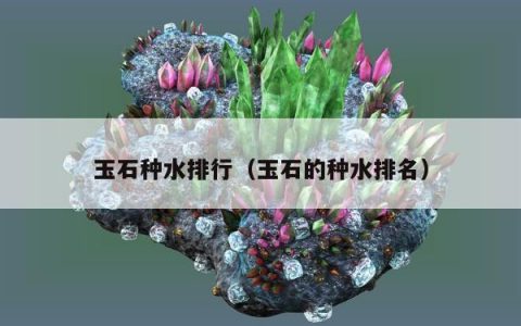 玉石种水排行（玉石的种水排名）