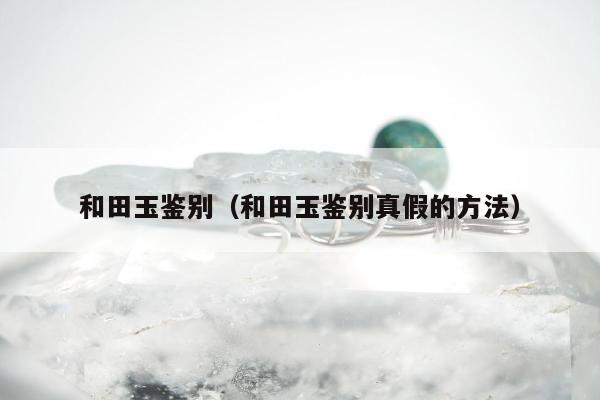 和田玉鉴别（和田玉鉴别真假的方法）
