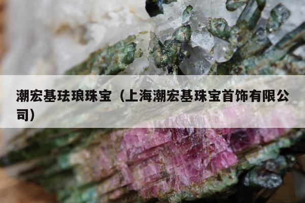 潮宏基珐琅珠宝（上海潮宏基珠宝首饰有限公司）