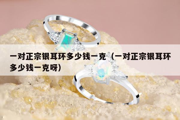 一对正宗银耳环多少钱一克（一对正宗银耳环多少钱一克呀）