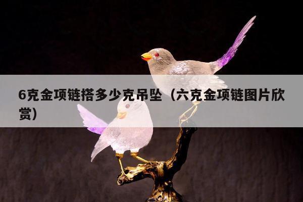 克金项链搭多少克吊坠（六克金项链图片欣赏）"
