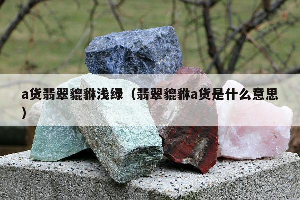 a货翡翠貔貅浅绿（翡翠貔貅a货是什么意思）