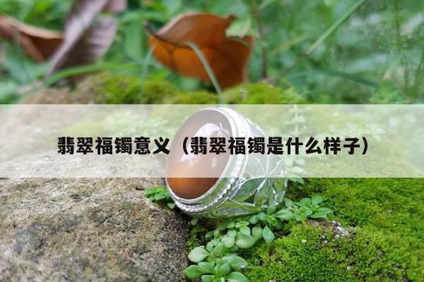 翡翠福镯意义（翡翠福镯是什么样子）