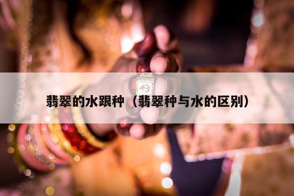 翡翠的水跟种（翡翠种与水的区别）