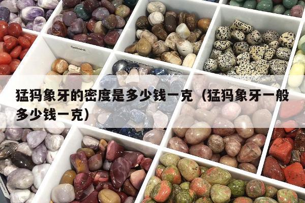 猛犸象牙的密度是多少钱一克（猛犸象牙一般多少钱一克）