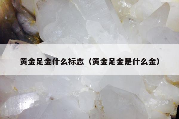黄金足金什么标志（黄金足金是什么金）