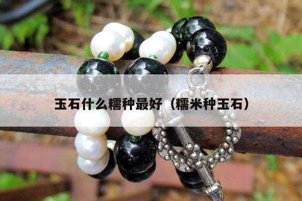 玉石什么糯种最好（糯米种玉石）