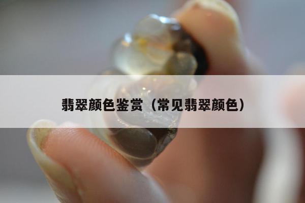 翡翠颜色鉴赏（常见翡翠颜色）