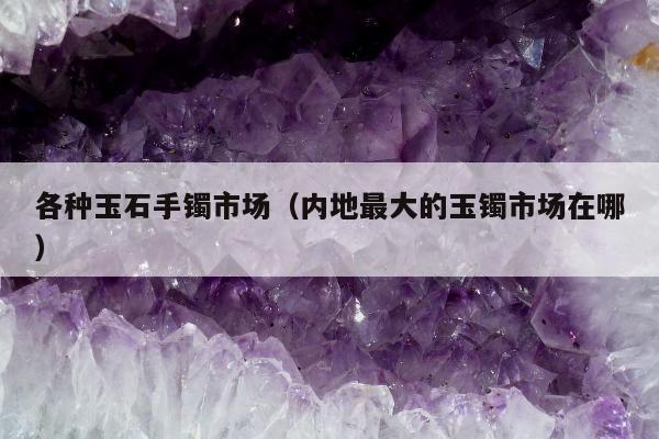 各种玉石手镯市场(内地最大的玉镯市场在哪) 各种玉石手镯市场(内地最大的玉镯市场在哪)