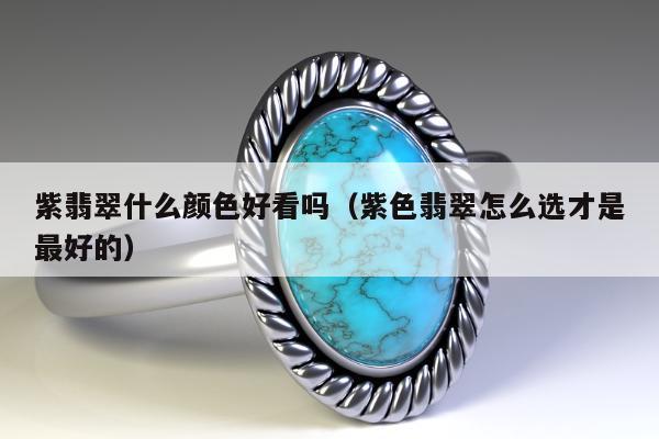 紫翡翠什么颜色好看吗（紫色翡翠怎么选才是最好的）