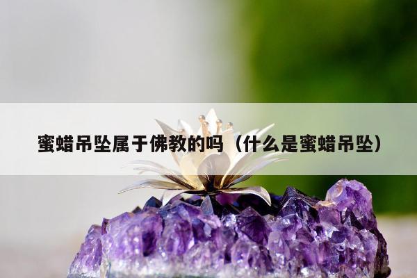 蜜蜡吊坠属于佛教的吗（什么是蜜蜡吊坠）